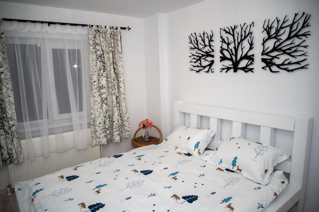 Apartament Daria Târgu Ocna Exterior photo